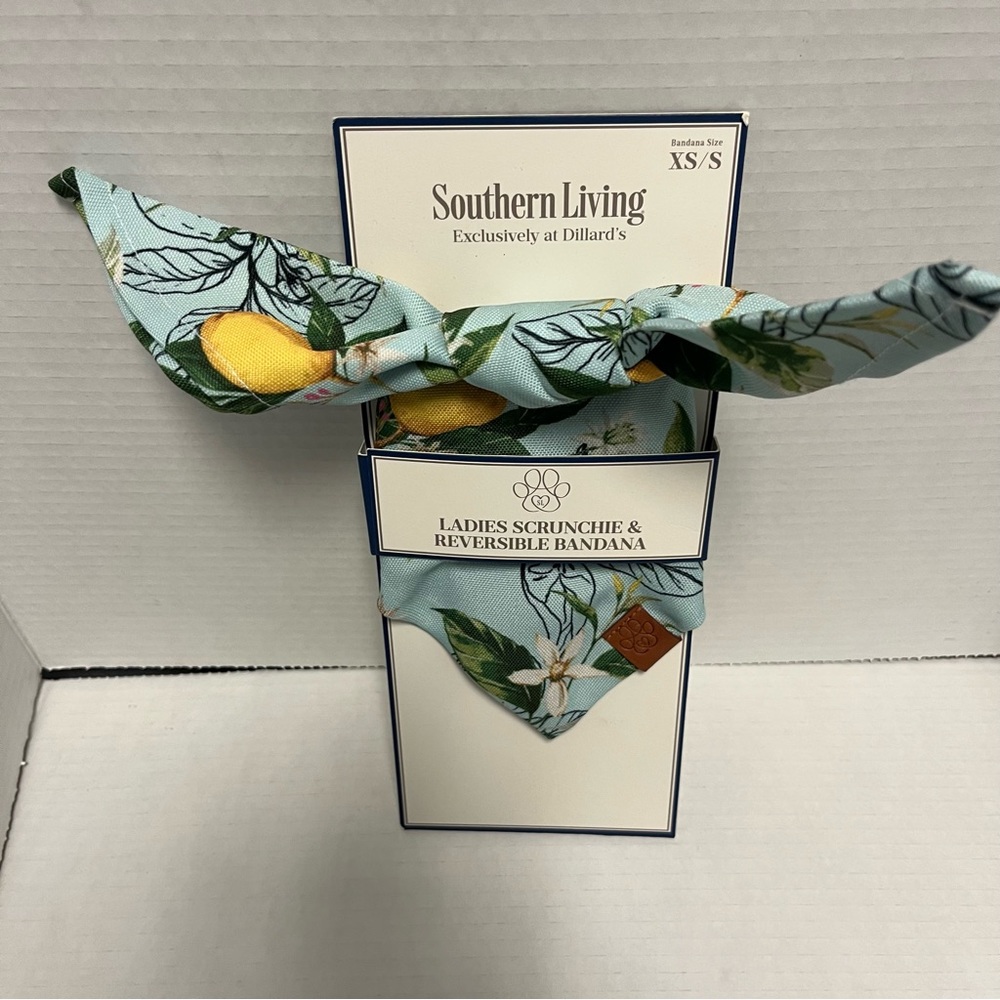 Southern Living Scrunchie & Pet Reversible Bandana Matching Set Sz XS/S NWT
